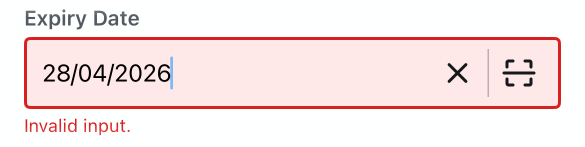 Invalid input state showing error styling